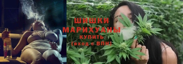 Альфа ПВП Аркадак