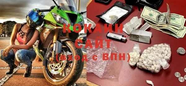 индика Арсеньев