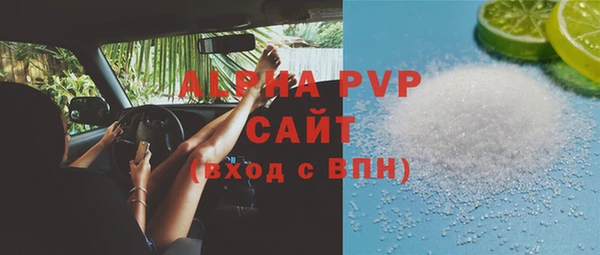 индика Арсеньев