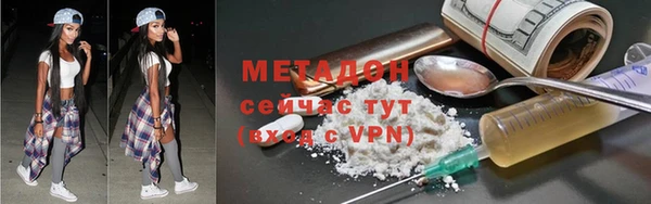 индика Арсеньев