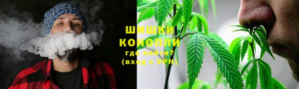 Альфа ПВП Аркадак