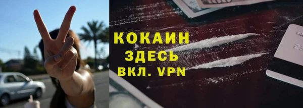 Альфа ПВП Аркадак
