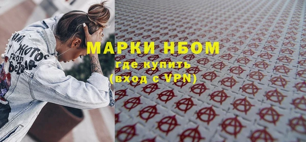 индика Арсеньев