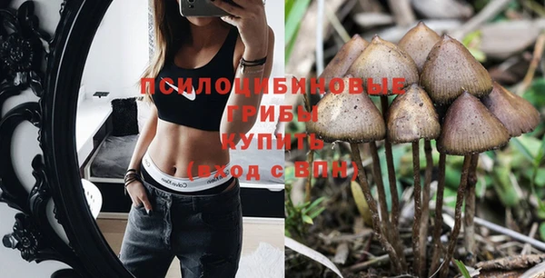 индика Арсеньев