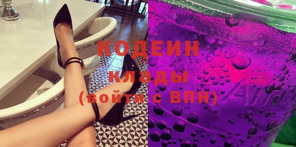 индика Арсеньев