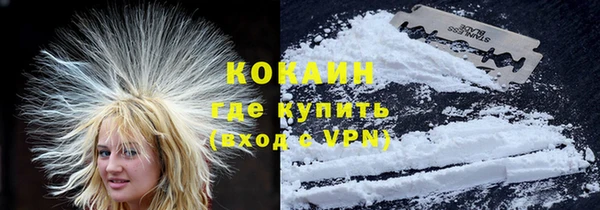 индика Арсеньев