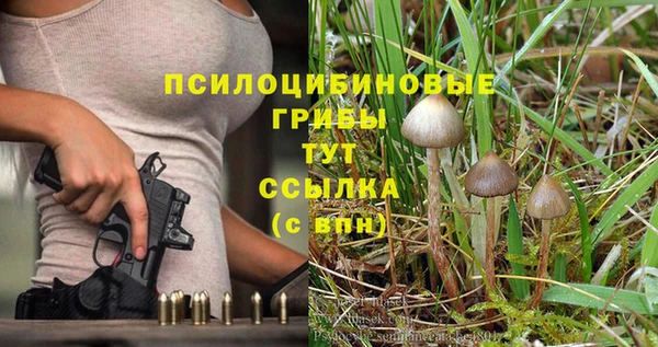 альфа пвп Армянск