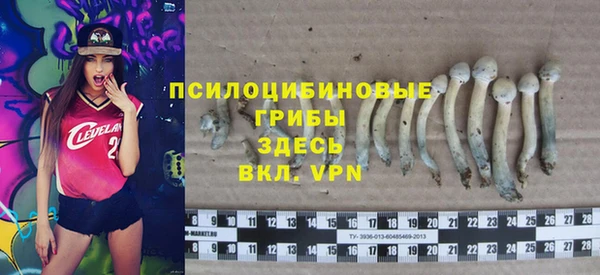 Альфа ПВП Аркадак