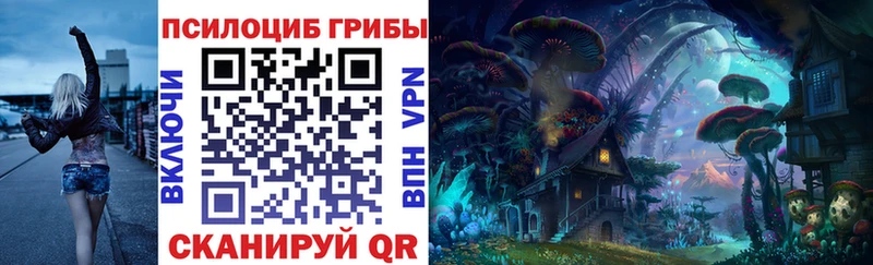 наркотики  Серафимович  Галлюциногенные грибы Psilocybine cubensis 